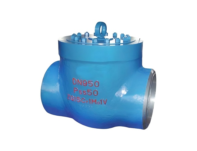 Swing type high-pressure check valve