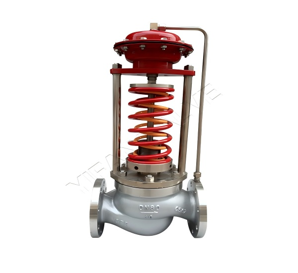 Self-operated pressure regulating valve