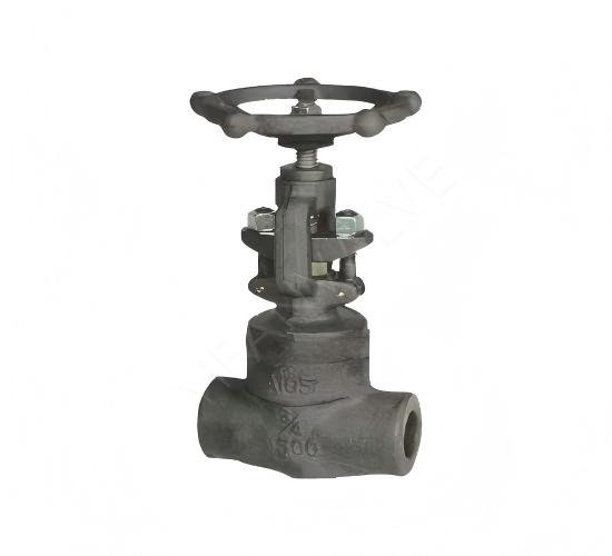 Forged Steel Socket Welding Globe Valve