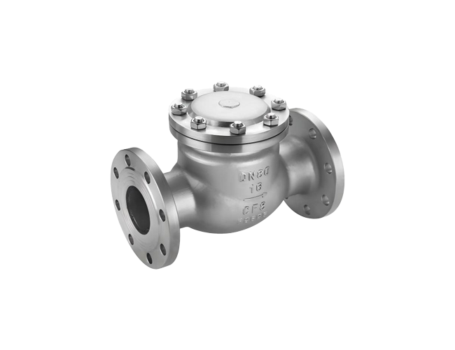 Swing Check Valve (with Internally-mounted Pin Shaft)