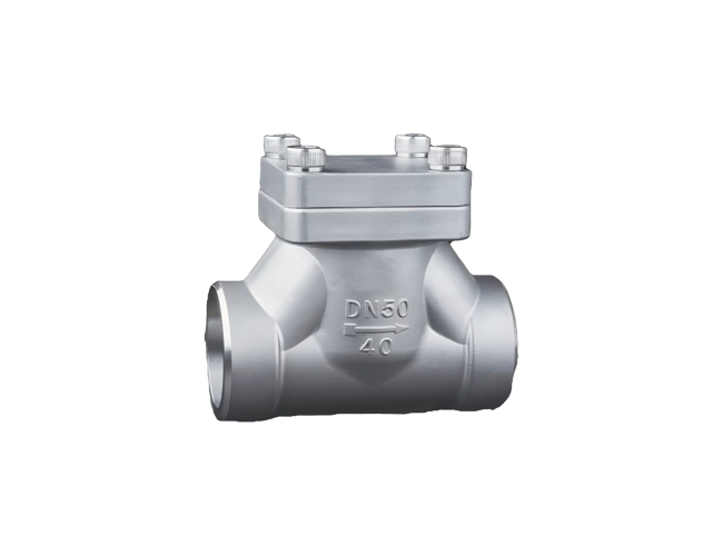 Low - temperature check valve DN10 - 50