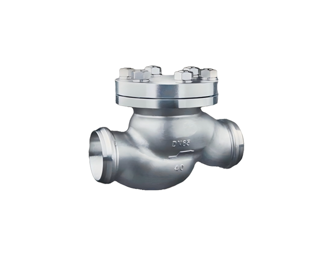 Low - temperature Check Valve DN65 - 100