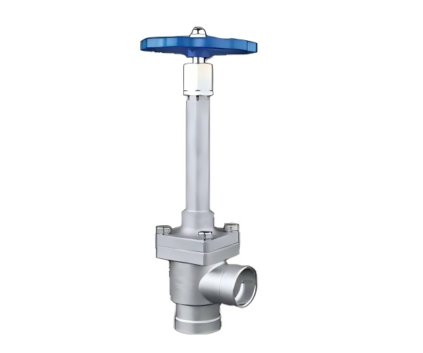 Cryogenic Angle Globe Valve
