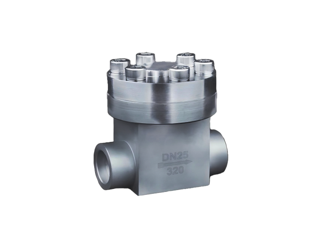 Low - temperature high - pressure check valve