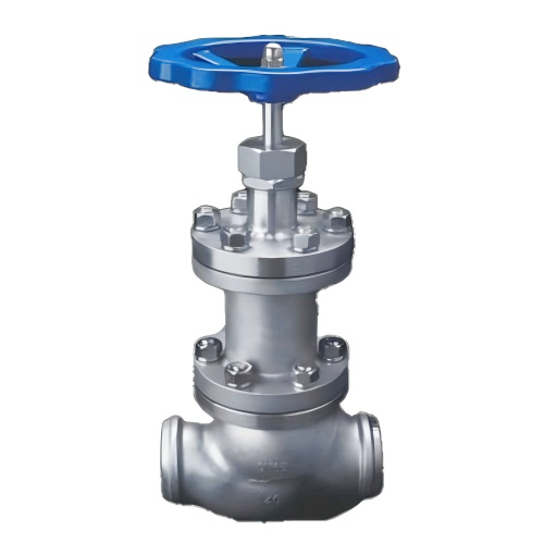 Cryogenic Vacuum Jacketed Globe Valve