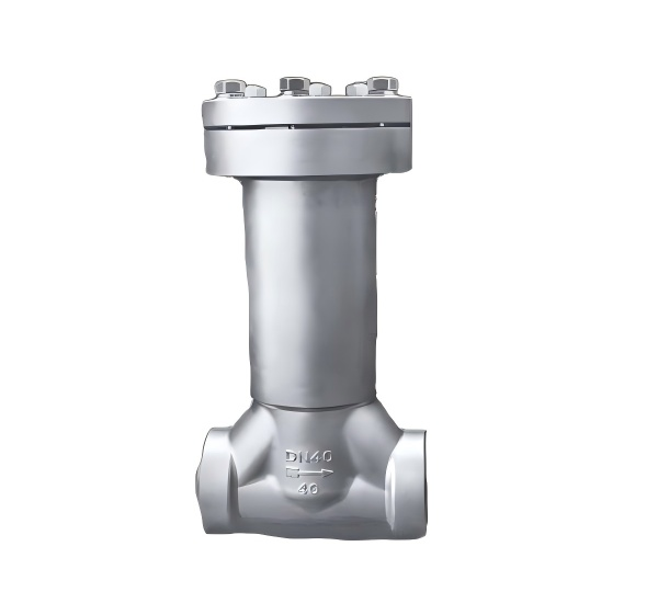 Vacuum-jacketed Cryogenic Check Valve