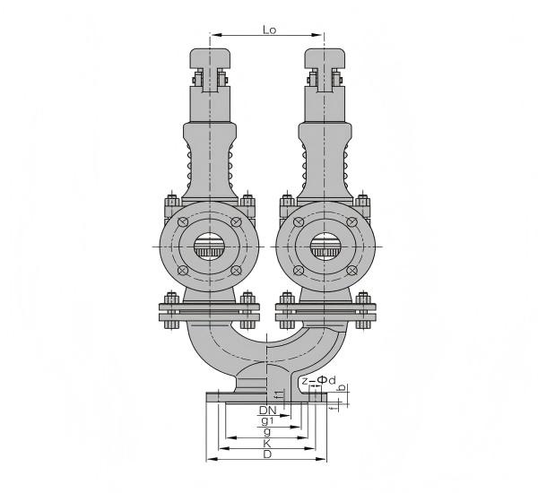 Twin spring type safety valve