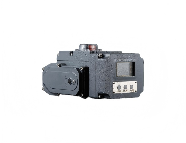 Compact electric actuator