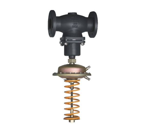 Self-operated differential pressure control valve