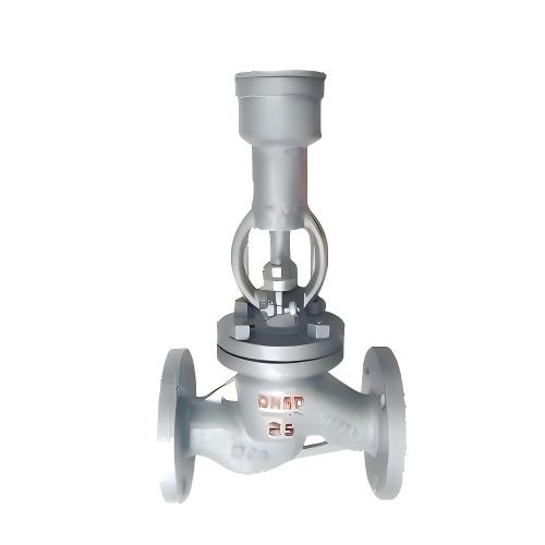 Anti-theft Globe Valve