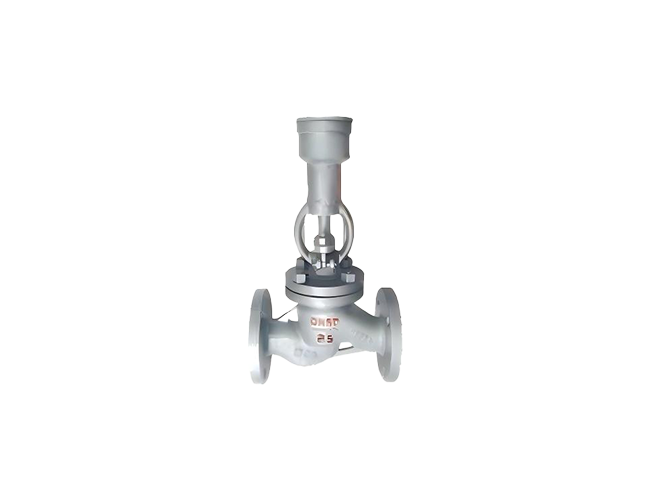 Anti-theft Globe Valve