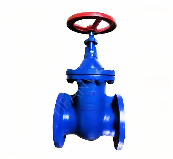 Cast iron non - rising stem gate valve