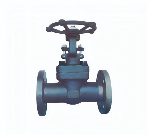 Forged Steel Flange Gate Valve