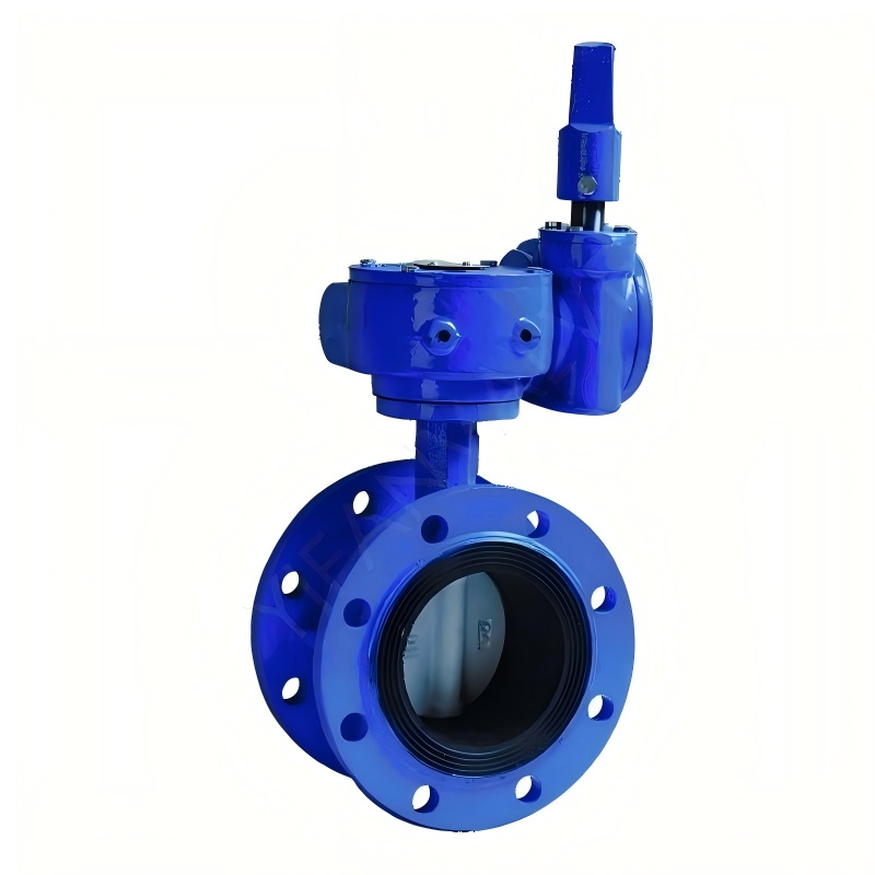 Flanged - Pipe Network Worm Gear Butterfly Valve