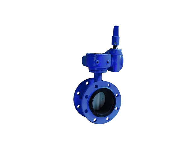 Flanged - Pipe Network Worm Gear Butterfly Valve