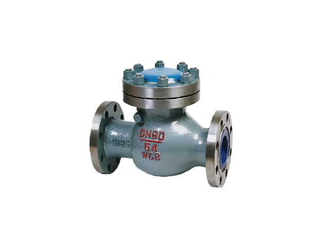 Swing check valve