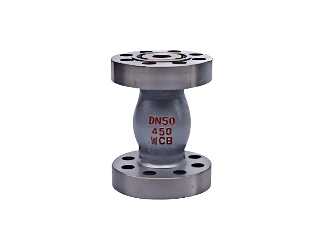 Micro Check Valve
