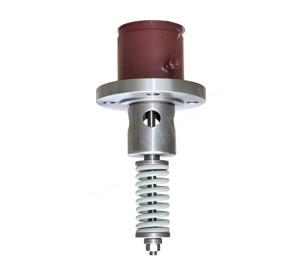 Internally mounted safety valve