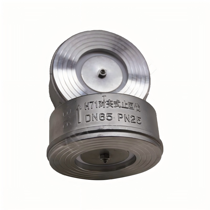 Stainless Steel Wafer Check Valve