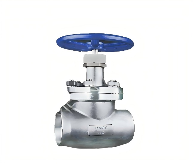 Low Temperature Socket Welding Short Stem Globe Valve