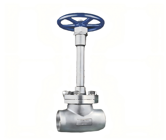 Low Temperature Socket Welding Extended Stem Globe Valve