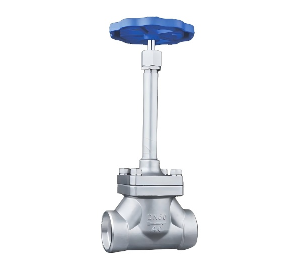 Low Temperature Long Bearing Socket Welding Globe Valve
