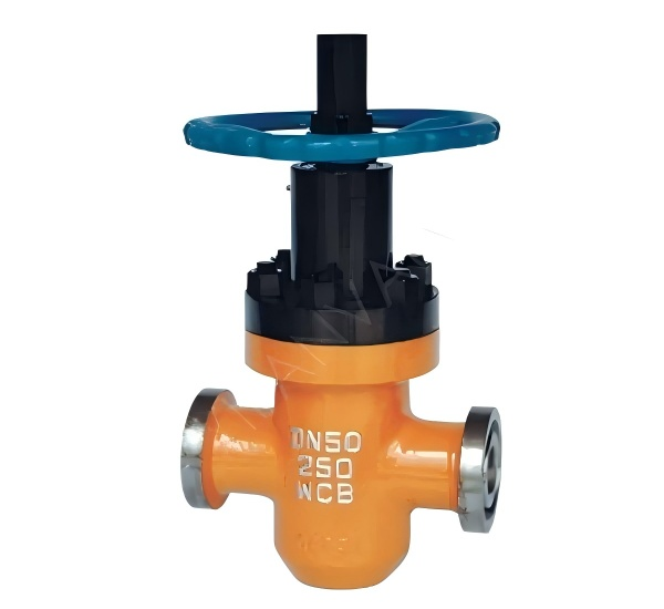 Clamp - connected slab gate valve
