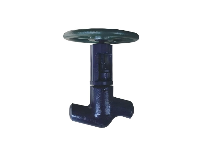 Forged steel straight-through globe valve for oil field